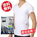 ★送料無料★【2枚セット~】【吸汗速乾 SH COOL】半袖V首シャツ 速乾繊維 Vネックシャツ 5120大きいサイズも!フライス編 乾きやすい メンズ VネックTシャツ 肌着 下着【2枚セットはメール便!日時指定不可!代引不可!ギフト包装不可!】(4)
