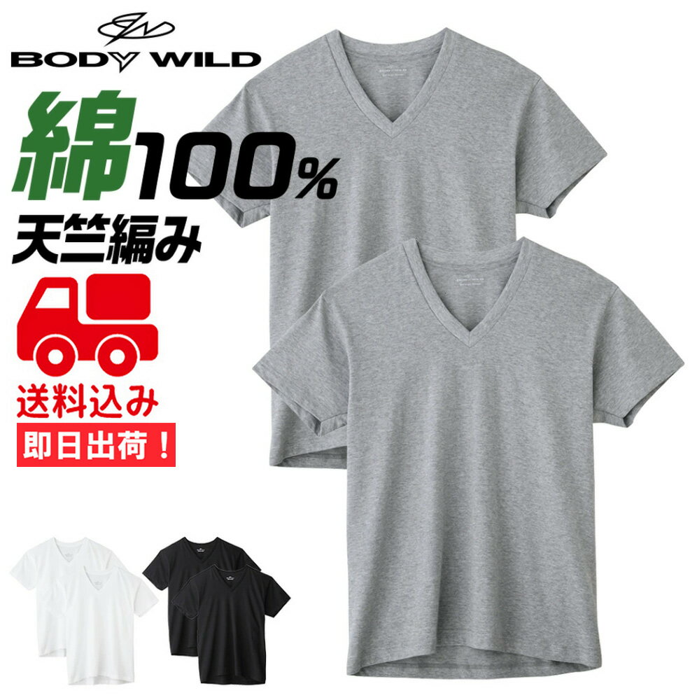 ★送料込み★グンゼ BODY WILD VネックTシャツ 2枚セット 綿100％ BW5015AGUNZE ボディワイルド V首 2枚組 メンズ 年間 ボディワイルド 2P インナー 定番 ベーシック 無地 下着 肌着 