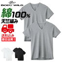 ★送料込み★グンゼ【BODY WILD/ボディワイルド】のVネックTシャツ【4枚セット】です。 素材は肌に優しい綿100％！ 脇に縫い目のないサイドシームレス設計、丈夫な天竺素材！ インナーとしても、おうちでちょっとくつろぎたいTシャツとしても、年間通して快適に着られるV首Tシャツです。 どうぞ、お試し下さい！ 【素材】　綿100％　 【カラー】　ホワイト・グレーモク・ブラック 【サイズ】　M（胸囲88〜96cm）・L（胸囲96〜104cm）・LL（胸囲104〜112cm） ★即日出荷/14時まで★【M】【L】【XL】【大きいサイズ・メンズ】