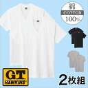 ★ポイント5倍★グンゼ【GTホーキンス】VネックTシャツ【6枚セット】:HK10152P5 【あす楽_土曜営業】【あす楽_日曜営業】