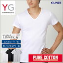 ★送料無料★グンゼ【YG】VネックTシャツ/綿100%【6枚セット】:YV0015S 【GUNZE・紳士半袖V首シャツ】【smtb-kd】【あす楽_土曜営業】【あす楽_日曜営業】