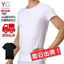 ★送料込み ポイント2倍★グンゼ【YG】クルーネックTシャツ 綿100％ YV0013V 【1枚・2枚セットはメール便！日時指定不可！代引不可！ギフト包装不可！】【GUNZE・紳士半袖V首シャツ】