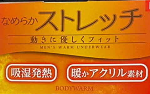 ★送料込み/ポイント2倍★グンゼ【BODYWARM】VネックロングTシャツ:YW2109【メール便!日時指定不可!代引不可!ギフト包装不可!】【smtb-kd】【吸湿発熱防寒インナーあったかインナーユニクロヒートゾーンウォームビズヒートテック保温】