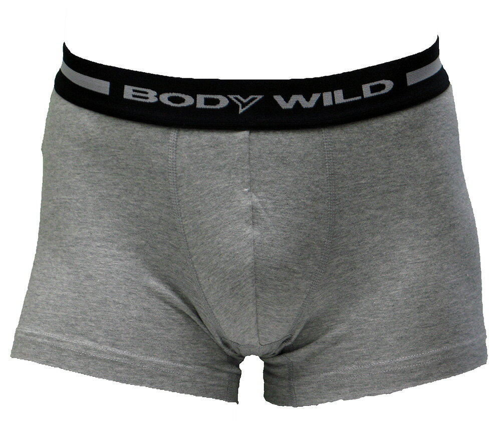 ★送料込み＆ポイント2倍★グンゼ【BODYWILD】ボクサーパンツ【3枚セット】BWB0803【メール便！あす楽！日時指定不可！代引不可！ギフト包装不可！】【smtb-kd】【BODY WILD・ボディワイルド・GUNZE・ボクサーブリーフ】