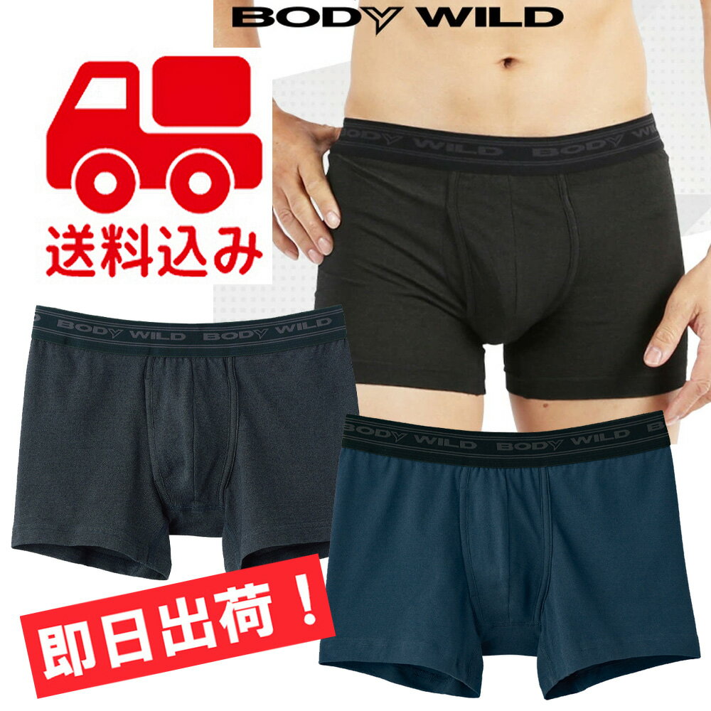 ★送料込み ポイント2倍★グンゼ【BODY WILD】ボクサーパンツ 前あき BWB086J 【メール便！日時指定不可！代引不可！ギ…