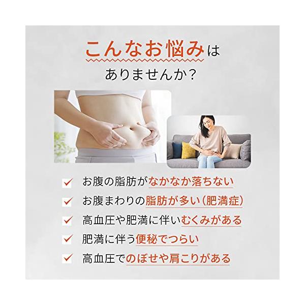 ロート製薬 ロート防風通聖散錠満量a 168錠 【第2類医薬品】
