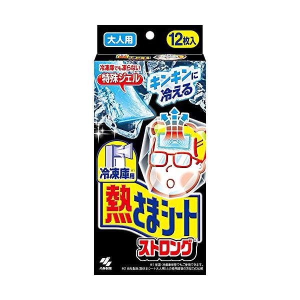 樂天商城 - 小林製薬 冷凍庫用 熱さまシートストロング 大人用 12枚