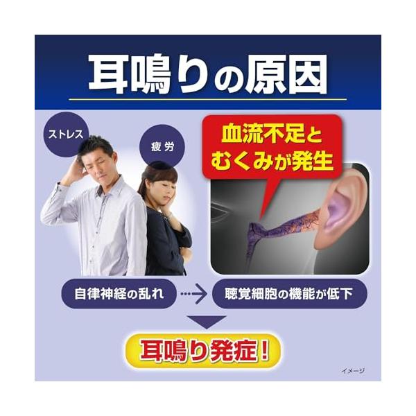 小林製薬 ナリピタン 当帰芍薬散錠 336錠 【第2類医薬品】