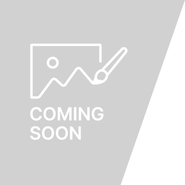 銀座ステファニー化粧品 リーチ　キッズ　ポケモン乳歯期用　ふつう 1本