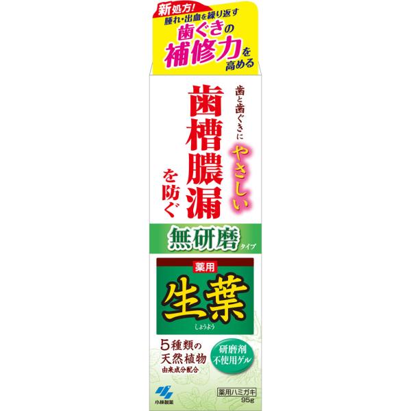 小林製薬 生葉無研磨タイプ 95g (医薬部外品)