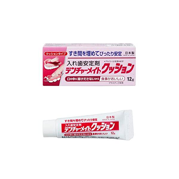 デンチャーメイトクッション 入れ歯安定剤 クッションタイプ 12g SB-012