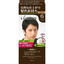 マンダム ルシード ワンプッシュケアカラー 6 ダークブラウン 1剤50g・2剤50g (医薬部外品)