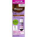 花王 ブローネ 美髪ヘアマニキュア つけかえ用 ブラウン 72G