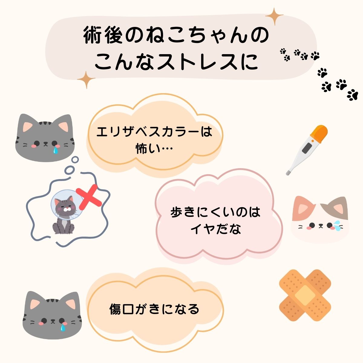 ǭ �Ѹ��� �����Ӥ��ɻ� ���襤�� ���󥯥ȥå� µ�ʤ� �� ������ �ڥå��ѽѸ��� �����Ѹ奱���� ���� �ե��å� �夻�䤹�� �������᥹ �ɥå�������å� ���� �Τ�ͥ�������餫�Ǻ� �����륷������ �������Ŭ �Ӥ�����к��Ѹ奦����
