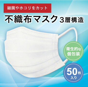 【予約販売】送料無料 マスク 50枚 個包装 ウイルス ブロック 立体 3層 マスク 使い捨て 風邪 花粉 ほこり フィルター カットフィルタ フィルタ 粉塵 チリ