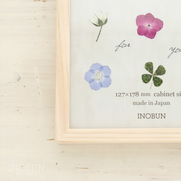 ���Υ֥󥪥ꥸ�ʥ� ŷ���ڥ����ե��ȥե졼�� RF-3 ����ӥͥ����� ����� �ʥ����� 14.5 x 19.3 cm ������