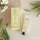 サンタール・エ・ボーテ フレンチクラシック UVハンドクリーム S 30ml ホワイトティー プレゼント
