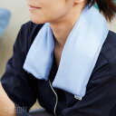 ビューエル Beauwell アンドグッドナイト ひんやり いやされピロー 日本製 セール