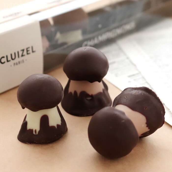 CLUIZEL クルイゼル シャンピニオン・アソルティモン チョコレート 5粒 バレンタインのサムネイル