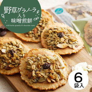 【紙袋】野草グラノーラ入り味噌煎餅 プチギフト お菓子 グラノーラ ギフト 焼き菓子【1枚×6袋】 ナッツ 味噌せんべい×チョコ×野草 無添加 退職 コンペ 景品 まとめ買い 500円 高級せんべい