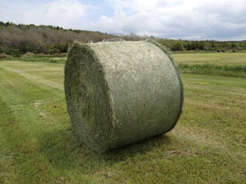 �١���ϥ��ͥå� 900mm��2000m 1�� �� �� ���Ȼ�� ���� ���� ���� ��«�ͥå� �����ѥ�å�