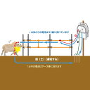 電気柵 支柱・電柵セット アポロ AP-2011 50m×2段 （イノシシ用） 乾電池 イノシシ 猪 いのしし 猪対策 防獣対策 防護柵 3