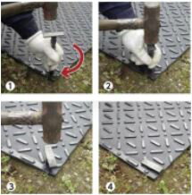 ˡ���͸��� - 10�ĥ��åȡ����ļ���դ���� ���ä��ꥢ�󥫡�