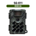 TREL トレイルカメラ SG-031 広角レンズ搭載 【英語のみ】 自動撮影カメラ (センサーカメラ) 本体