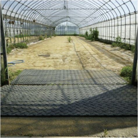 ˡ���͸��������� ���������� �����ѡ�����饤��M2��2�祻�åȡ� ����饤�� ��Ŵ�� �����ݥꥨ����� �̼��� �ܻ� �������� �Ǥ��ܤ� ��ƻ ����ƻ ���� ťƻ