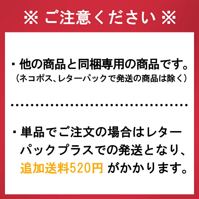 同梱専用 スコップ（柄の色が異なる事があります） 2