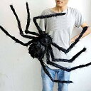 黒蜘蛛 クモ スパイダー お化け屋敷/ハロウィンパーティー装飾用蜘蛛 ハロウィーンの装飾