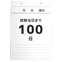 MRG 2024 2025 カレンダー 日めくりカレンダー ひめくり 100日 カウントダウン 受験 壁掛け 合格祈願 合格グッズ 日めくり 中学 高校 入試 シンプル メモ 応援