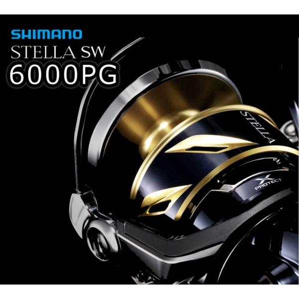 シマノ　20ステラSW　6000PG