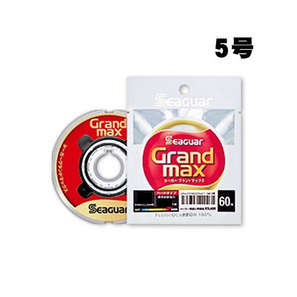 シーガー　グランドマックス　60m　5号