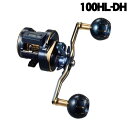 ダイワ 21ソルティガIC 100HL-DH