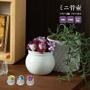 ミニ骨壷 フラワーポット フラワー骨壷 / 日本製 国産 骨壷 ミニ 小さい コンパクト モダン 手元供養 水子供養 分骨 遺骨 納骨 形見入れ 骨入れ 入れ物...
