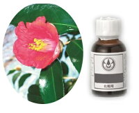 【生活の木】椿(カメリア)オイル 70ml【楽ギフ_包装】【植物油】【キャリアオイル】【マッサージオイル】