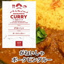 ポークビンダルーインドカレー/ニンニク/ワインビネガー/マリネ/酸味/辛味/スパイスカレーレトルトカレー/松本カリー/松本カレー/長野県松本市