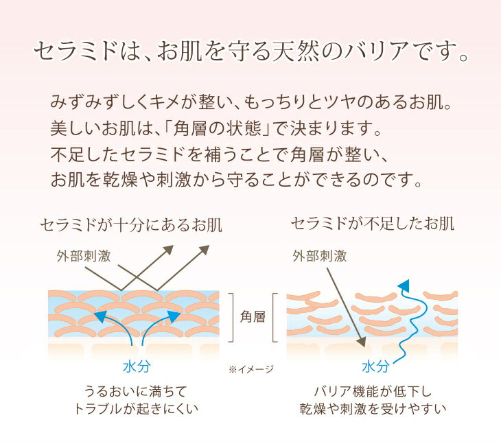 ☆彡【ハウスオブローゼ/HOUSE OF RO...の紹介画像3