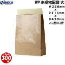 WP未晒宅配袋 表面PE(撥水ラミネート/防水加工)加工 大 1セット300枚 送料無料 宅配袋 業務用