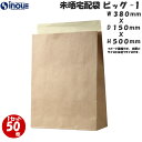 未晒宅配袋 レギュラー BIG1 50枚 100枚 500枚 宅配袋 送料無料 業務用 レギュラー BIG1 ●サイズ 380(幅)x150(マチ)x500(深...