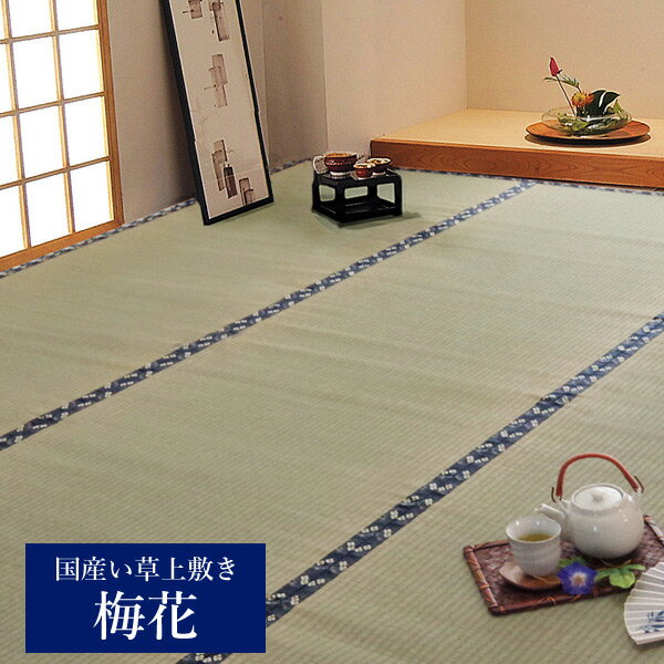 国産 い草 上敷き カーペット「 梅花 」サイズ：江戸間2畳(約176×176cm)(#1105132)上敷 上敷き カーペット 畳上敷き 畳 い草 イ草 いぐさ ござ い草 ラグ 和 日本製