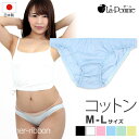 セクシー ランジェリー ラポーム La-Pomme セクシーランジェリー ショーツ 定番 シンプル フルバック 綿 コットン 100 114026 日本製 セクシー下着 下着 通販 日本 made in japan sexy lingerie SEXY レディース 大人 M L サイズ