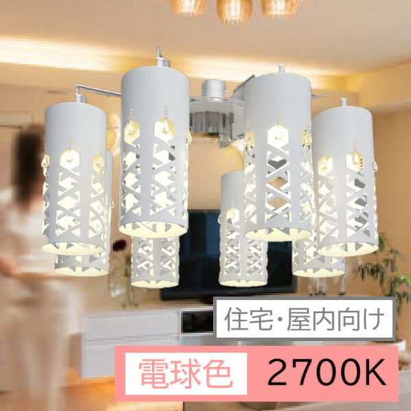 6/5!ȥ꡼Ǻ100ݥȥХåۥǥꥢ 饤 8 SHRM-8E17LED LED饤 LED ŷ ǥꥢ  ꥹ ̵