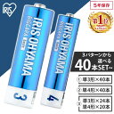 《1000円ポッキリ》乾電池 単3 単三 単4 単四 電池 送料無料 BIGCAPA basic 単3×40本or単4×40本or単3×24本＋単4×20本 LR6Bb／4P LR03Bb／4P 3LR6Bb/12P 5年保存 電池 アルカリ乾電池 【メール便】【代金引換不可 日時指定不可】