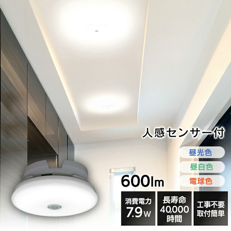 󥰥饤  LED 600lm ꥹ 饤   ʹ󥵡 ŵ忧   󥰥饤 L...