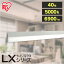 5/10ꥨȥ꡼Ǻ100%ݥȥХåۥ饤륯ľ LX3-170-69N-CL40 LED 饤륯 ١ ١饤 ե ʥ  ľ ȥ ꥹ led ָ ١饤