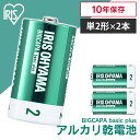 乾電池 単2 アルカリ 2本パック BIGCAPA basic+単2形アルカリ乾電池 アイリスオーヤマ 乾電池 アルカリ乾電池 アルカリ電池 乾電池2本パック 単2形 単2アルカリ 単二 単二形 電池 でんち デンチ かんでんち カンデンチ バッテリー 2本 LR14Bbp/2S