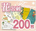 【名刺印刷】【200枚】【花名刺】【ゆうパケット無料】