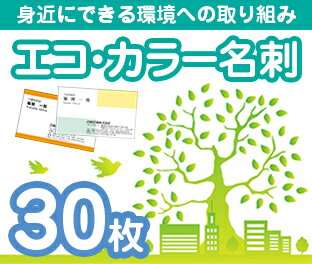 「名刺を利用したSDGs活動」身近にできる環境への取り組み！エコ用紙をおすすめしています。当店で販売しているテンプレート名刺（シンプル名刺、クール名刺、キュート・ポップ名刺、花名刺）からデザイン・書体をお選び頂き、お客様ご入力の内容の名刺をエコ用紙を使用して作成する商品となります。